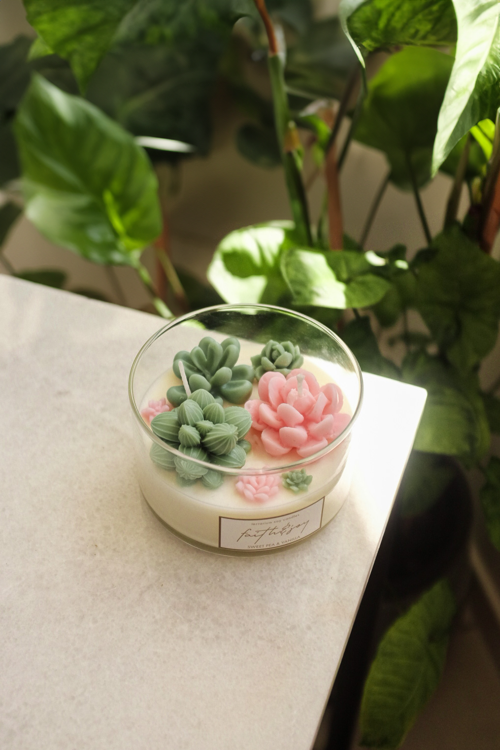 Meira's Garden - Terrarium Candle image 0