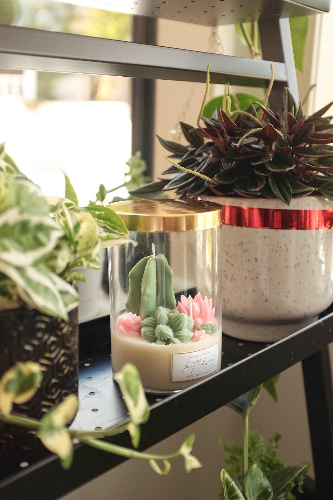 Zion's Desert - Terrarium Candle image 2