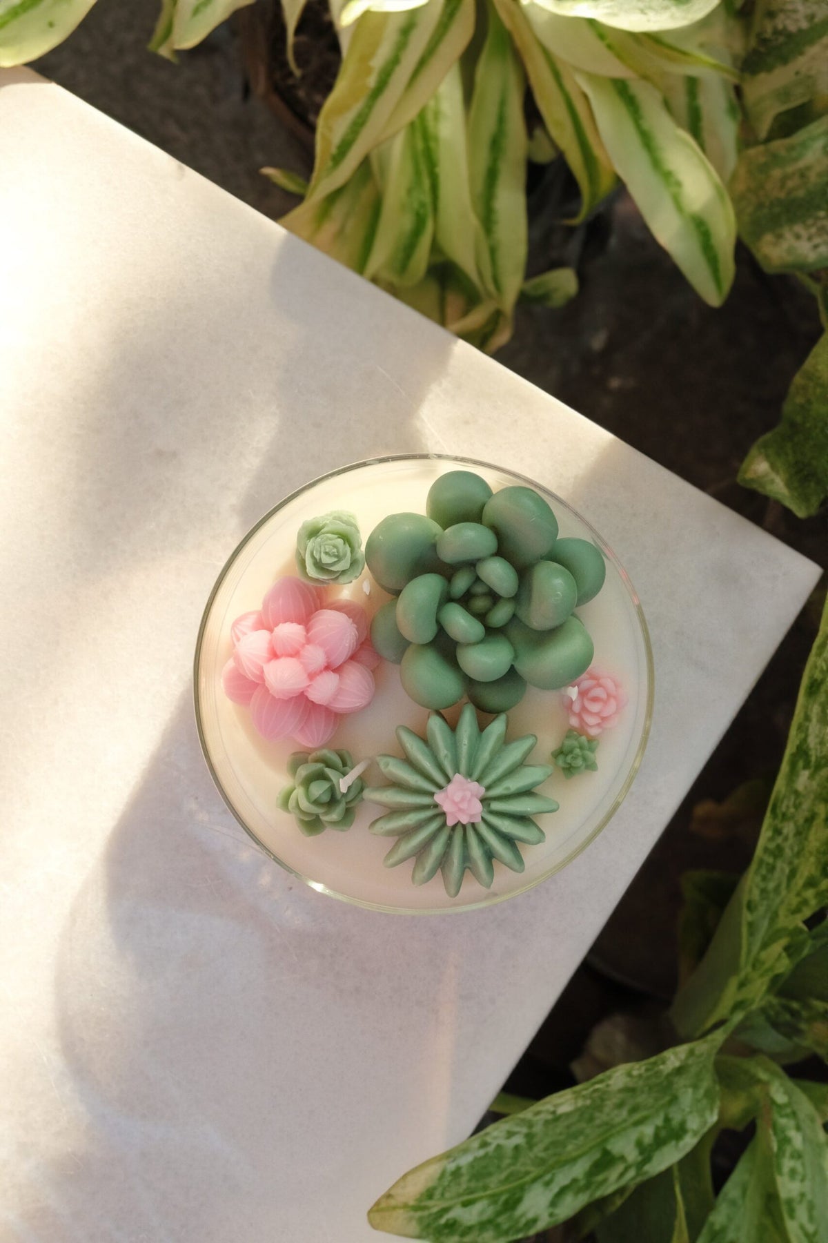 The Promised Land - Terrarium Candle image 1