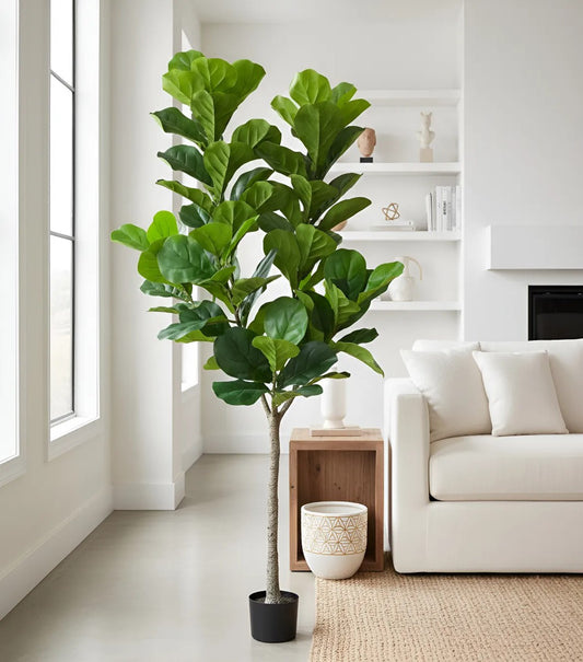 Ficus Lyrata Artificial Grande Realista Planta Com 1.80m