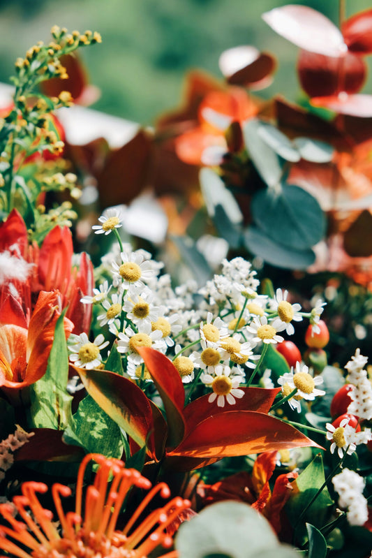 Fresh Petal Bouquet image 0
