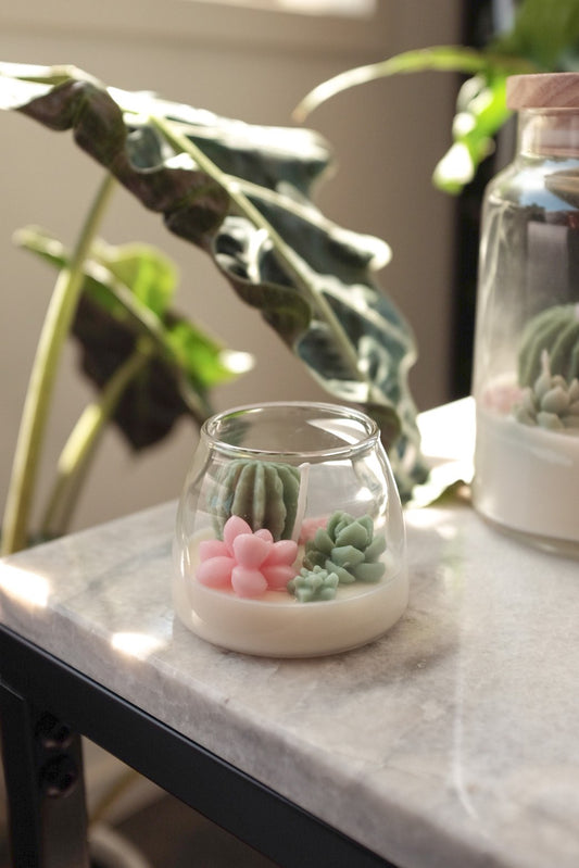 Judean Desert  - Mini Terrarium Candle image 0